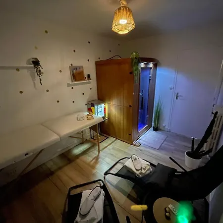 Lejlighed Grand T2 Au Rdc Hyper Centre Navette Et Sauna En Option *